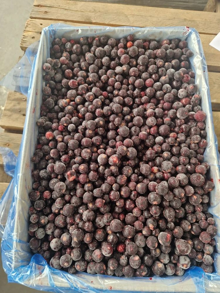 Черная смородина замороженная