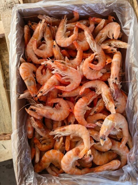 Креветки королевские VICI 50/70